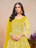 Embroidered Net Anarkali Gown with Dori Work